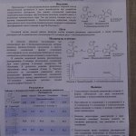 VI Конференция